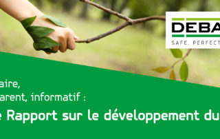 rapport sur le développement durable