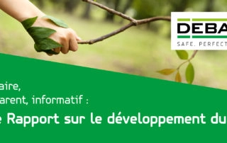 rapport sur le développement durable