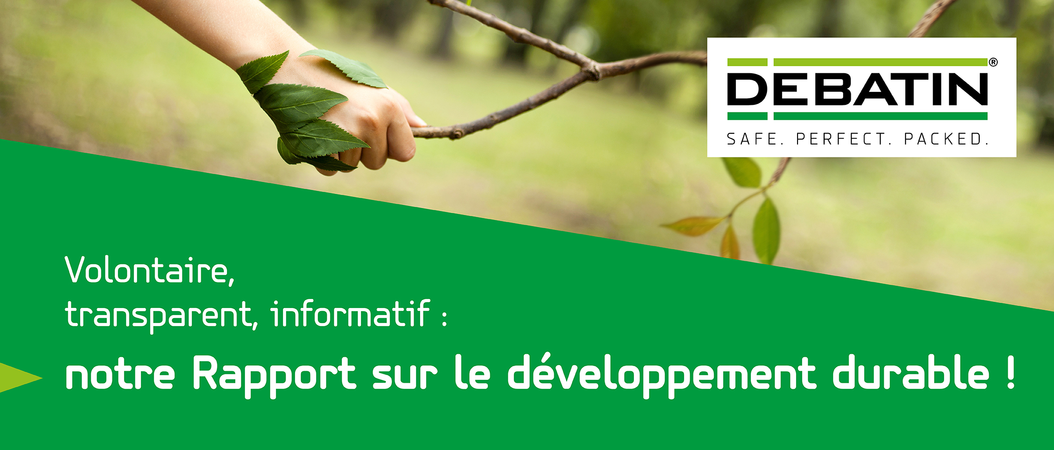 rapport sur le développement durable