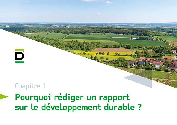 rapport sur le développement durable de DEBATIN | chapitre 1